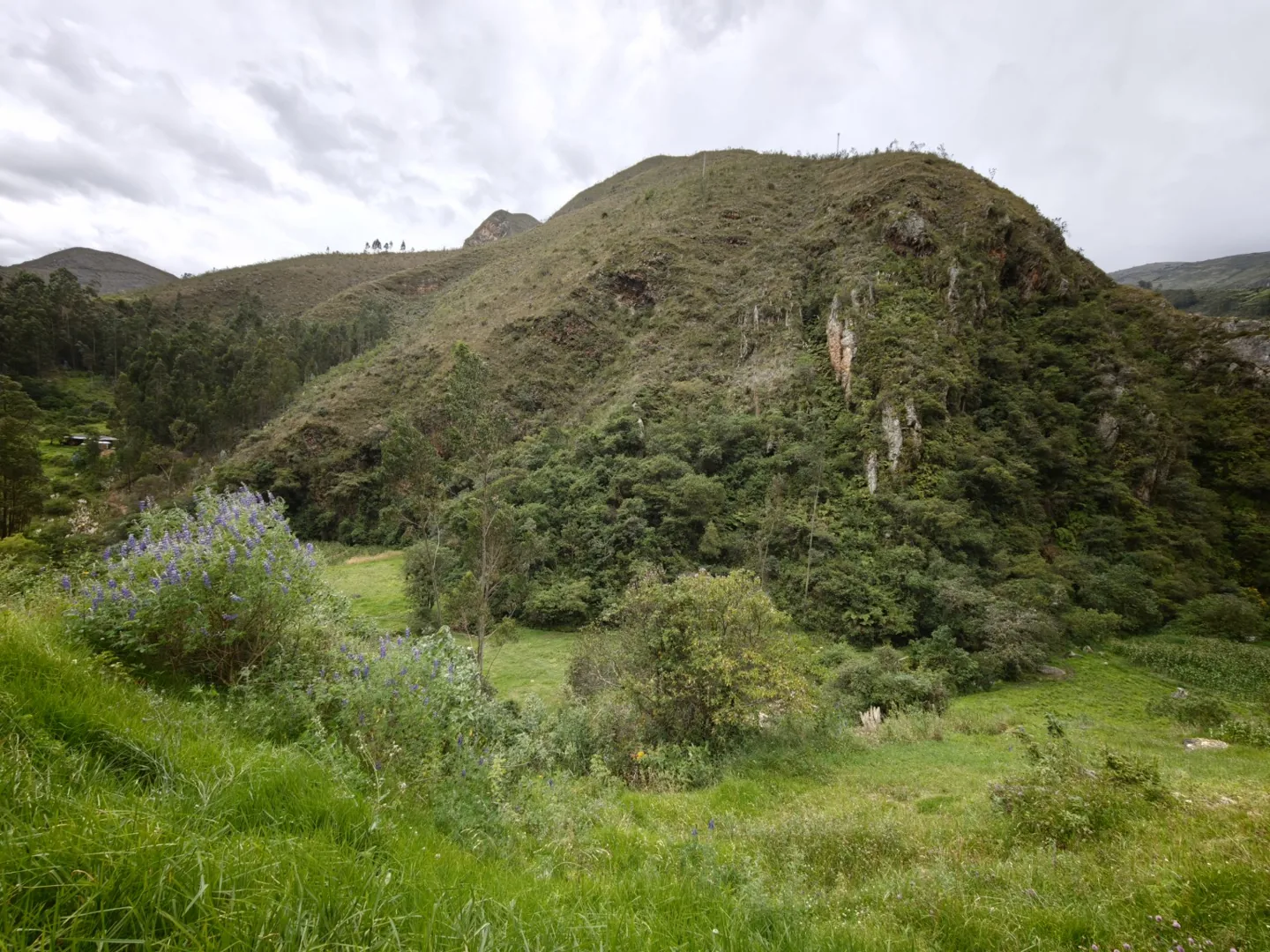 Cerros, cobertura vegetal y quebradas de un paisaje andino documentado por la asociación