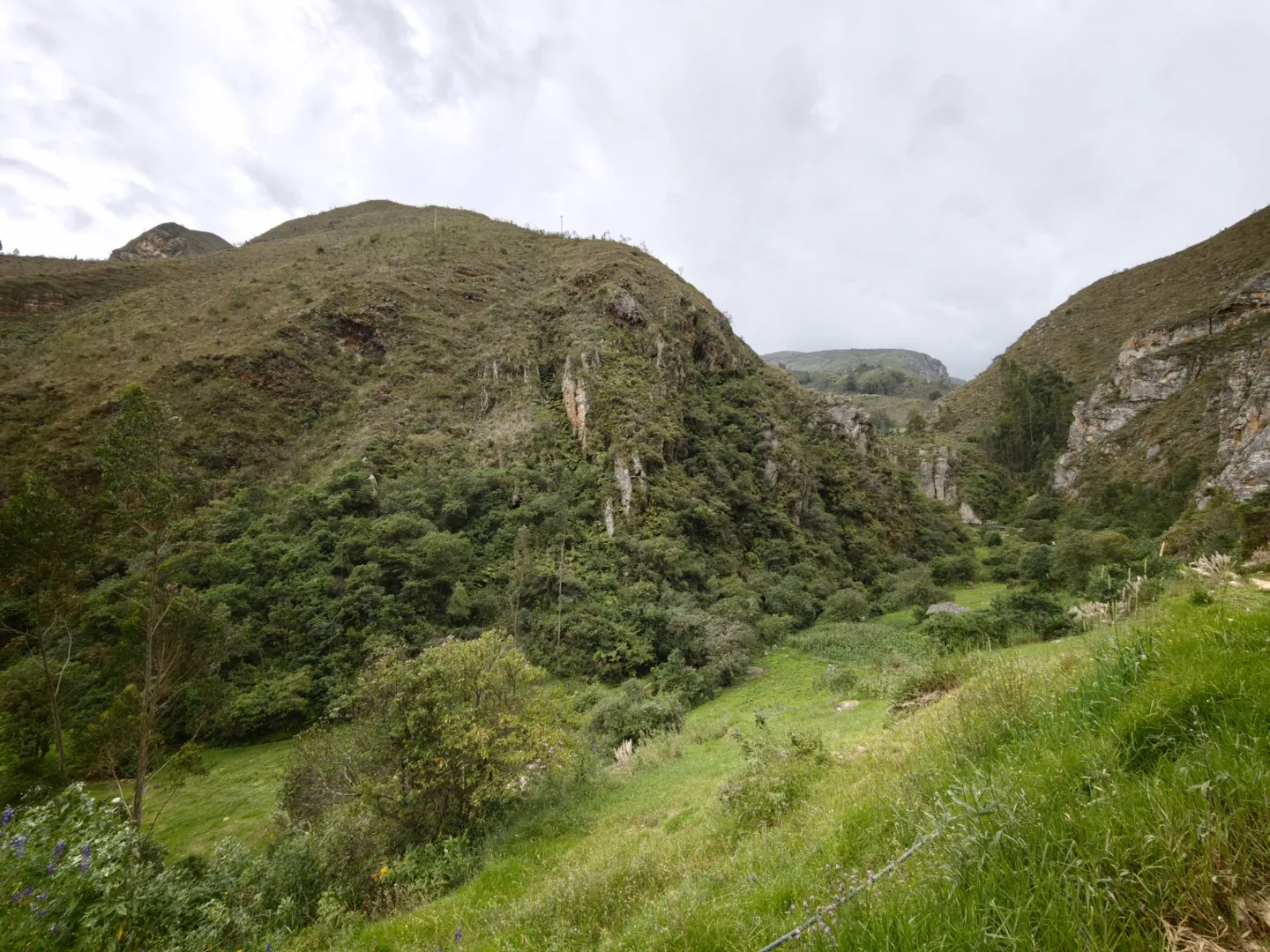 Laderas verdes y matorrales de un ecosistema andino